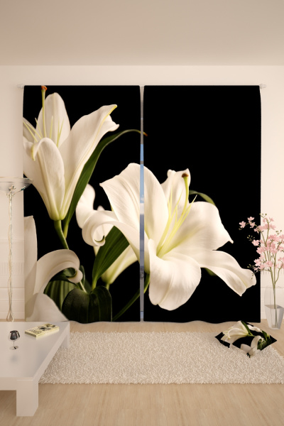 66db45f5-d58a-4ea8-9604-d1772a518db0